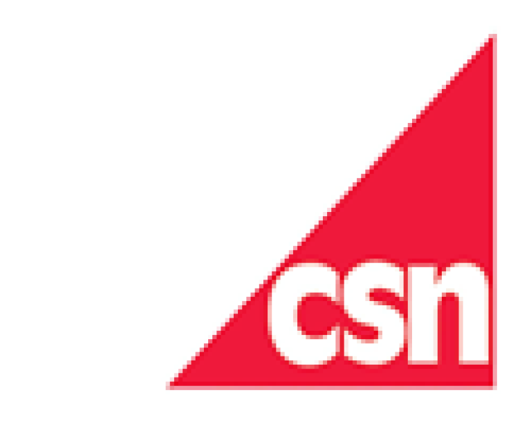 CSN Logotype.png