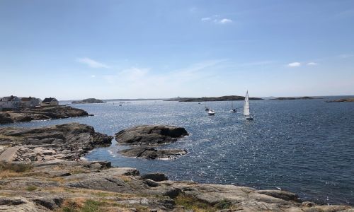 Vi bidrar till säkrare transaktioner